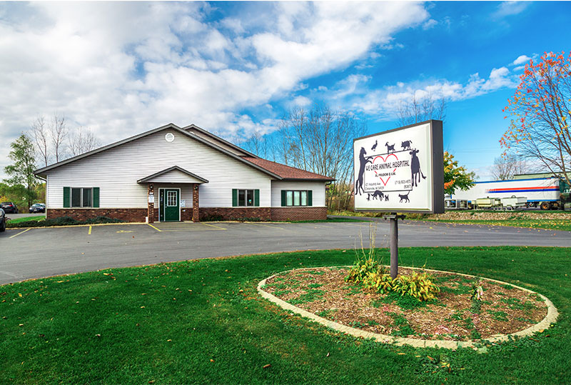 Pets V care Animal Hospital - Clintonville veterinary hospital | veterinary clinic in Clintonville